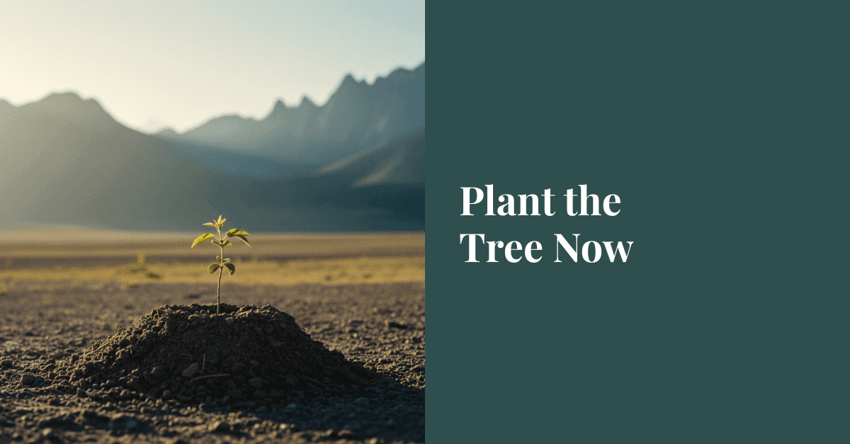 Plant the Tree Now